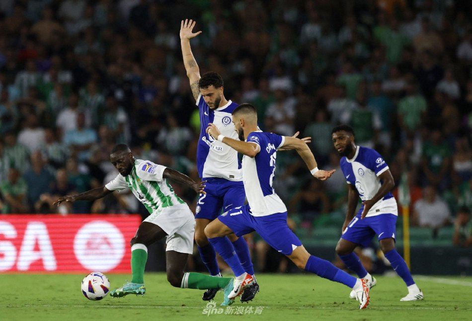 们有一个共 们有一个共